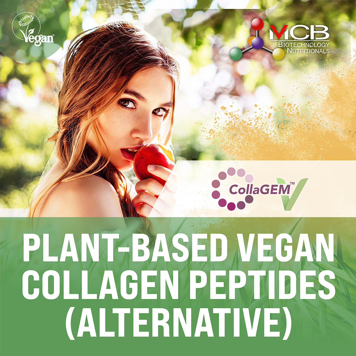 CollaGEM™-V Biomimetic Vegan Collagen Alternative